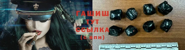 хмурый Аркадак
