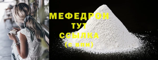 хмурый Аркадак