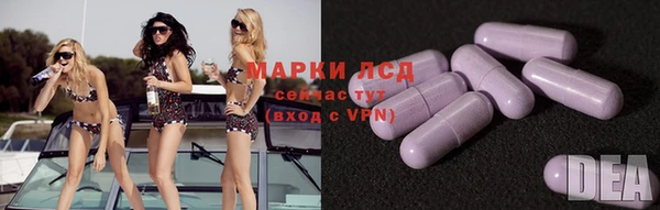 хмурый Аркадак