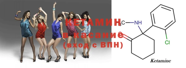 хмурый Аркадак