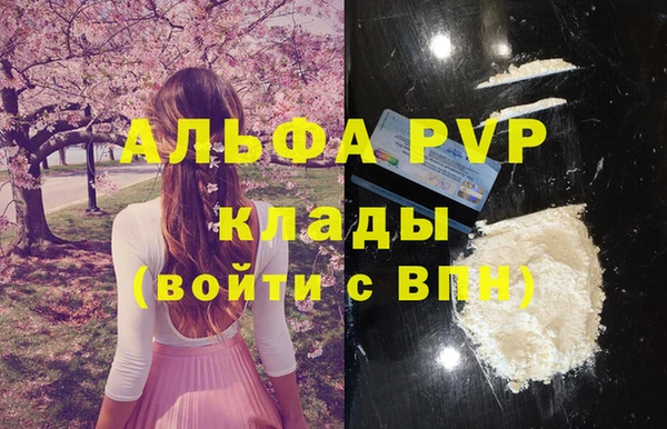 хмурый Аркадак