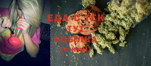 хмурый Аркадак
