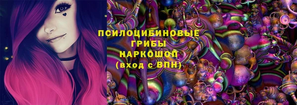 хмурый Аркадак