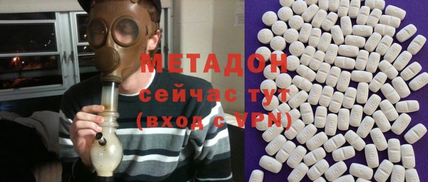 хмурый Аркадак