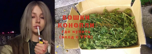 хмурый Аркадак