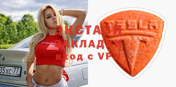 хмурый Аркадак
