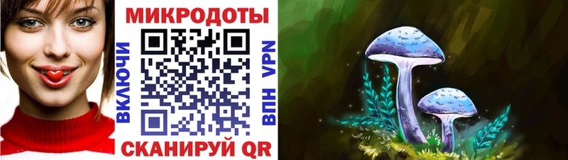 блэк спрут ТОР  Новый Оскол  Псилоцибиновые грибы Psilocybine cubensis 